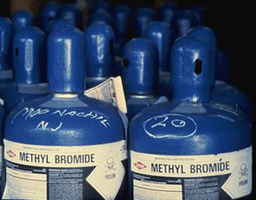 Blog - methyl_bromide