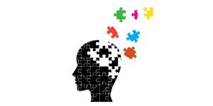 Blog - Puzzle of brain